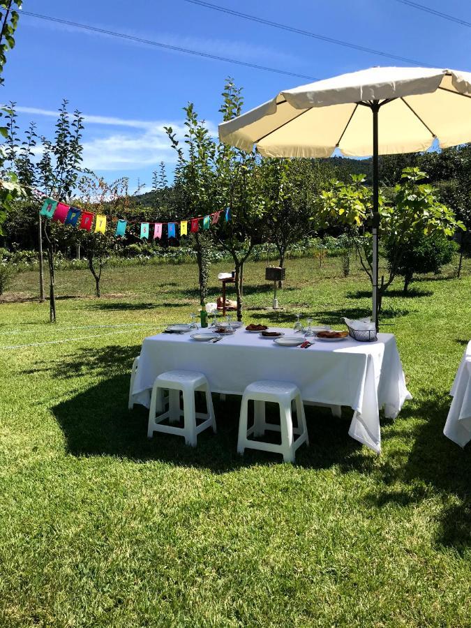 Casa Dos Avos Villa Póvoa de Lanhoso Eksteriør bilde