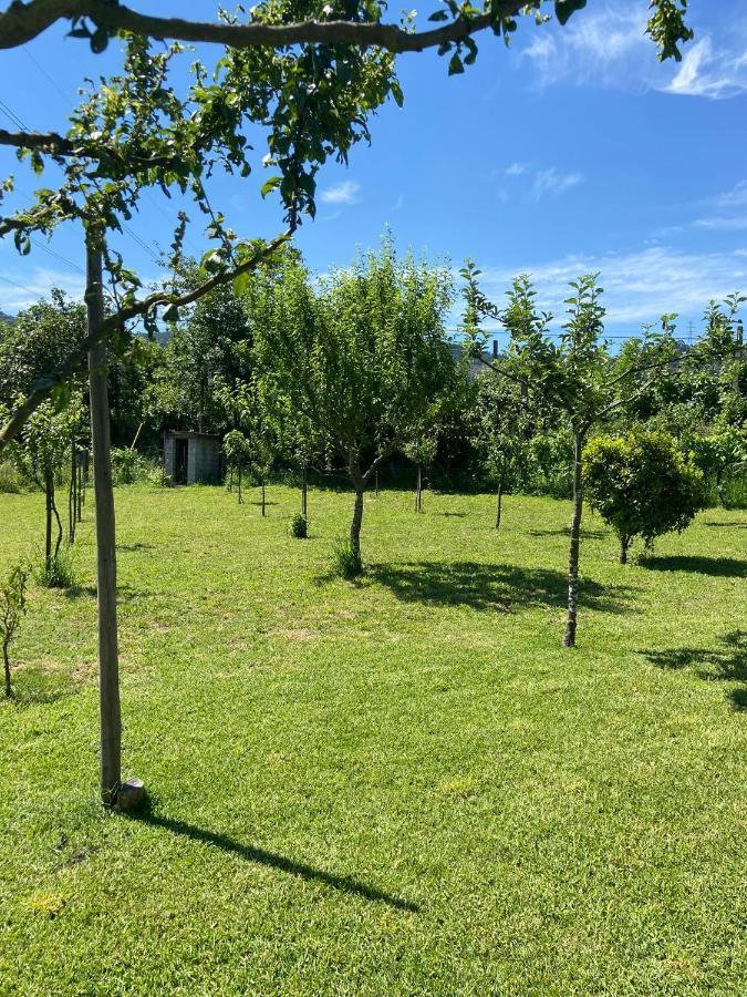 Casa Dos Avos Villa Póvoa de Lanhoso Eksteriør bilde